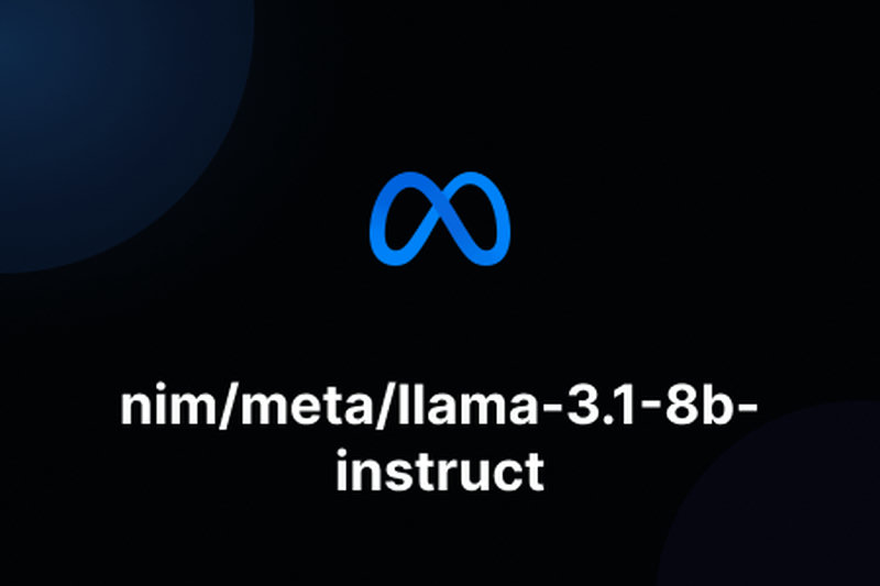 nim/meta/llama-3.1-8b-instruct