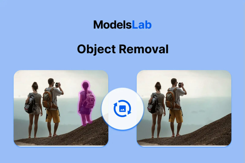 Object Removal