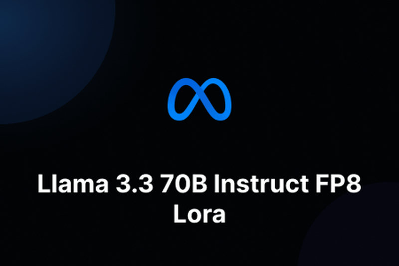 Llama 3.3 70B Instruct FP8 Lora