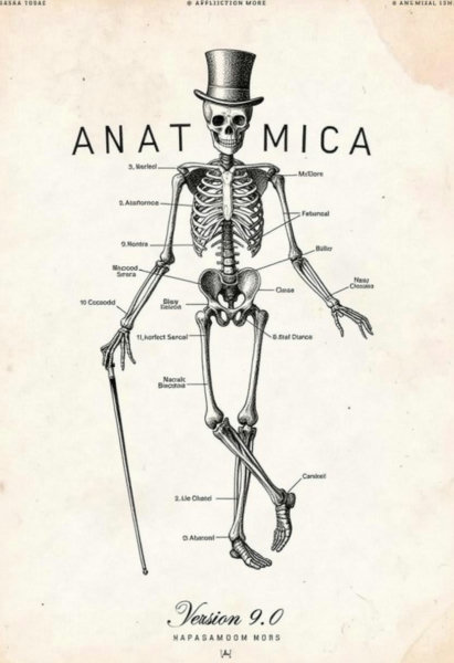Anatomica - v9.0