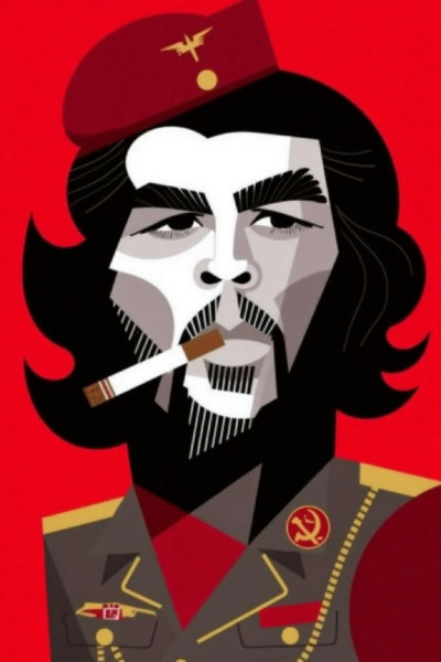 Flat Color Minimalist Geometric Caricature Style - v1.0