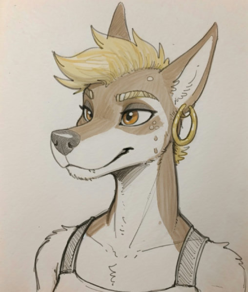 Pepper (Halbean) - FINAL-depricated