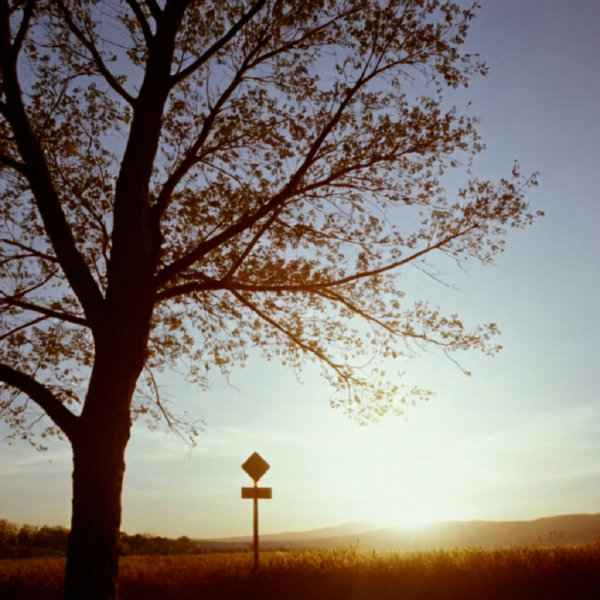 16mm (Super) Film Emulator style XL + F1D - 16mm XL v1.0